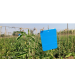 Chipku Blue Sticky Trap A4 (Pack of 10)